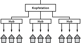 Neue Netzarchitektur