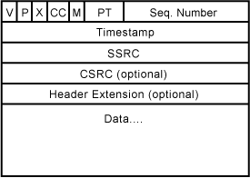 Aufbau des RTP-Headers